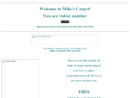MIKE'S CARPET INC's Website
