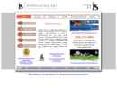 Infostructure's Website