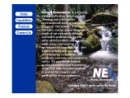 NATIONAL ENVIRONMENTAL INC's Website
