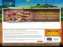 Nature's SunGrown Foods, Inc.'s Website
