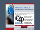 OUTREACH PROCESS PARTNERS LLC's Website