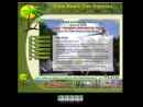 Palm Beach Tree Service's Website