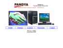 PANDYA COMPUTERS INC's Website