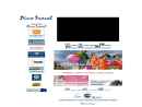 Pino Travel LTD's Website