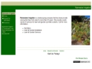 Rain Maker Irrigation's Website