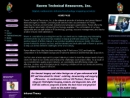 RAVEN TECHNICAL RESOURCES INC's Website
