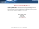 ROCKSOL CONSULTING GROUP, INC.'s Website