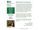 SAFETY SOLUTION CONSULTANTS, INC.'s Website