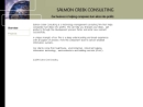 SALMON CREEK CONSULTING INC's Website