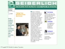 Seiberlich Accountancy Corp's Website