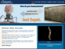 SEYET LLC's Website