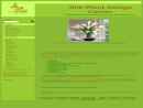 Silk Plant Design Center's Website