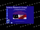 SYNECA RESEARCH GROUP INC's Website