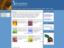 Technosoft Inc's Website