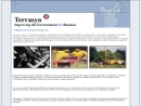 TERRASYN GROUP, INC.'s Website