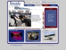 TESSADA & ASSOCIATES, INC's Website