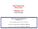 TORGERSON'S LLC's Website