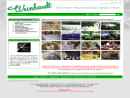 Weinhardt Party Rentals's Website