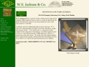 W. E. Jackson & Company's Website