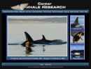 Center for Whale Research's Website