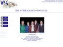 The White Salmon Group's Website