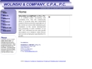 WOLINSKI & COMPANY, CPA, PC's Website