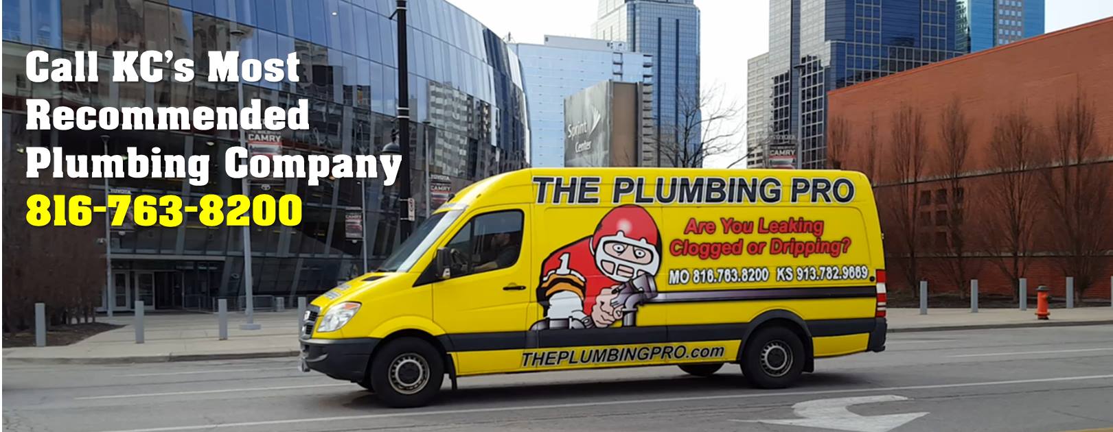 The Plumbing Pro's Logo