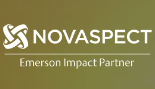 Novaspect's Logo