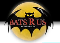 Bats R Us Wildlife Removal Specialist's Logo