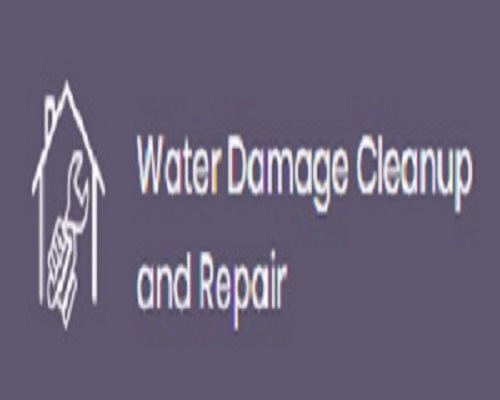 Water Damage Cleanup And Repair's Logo