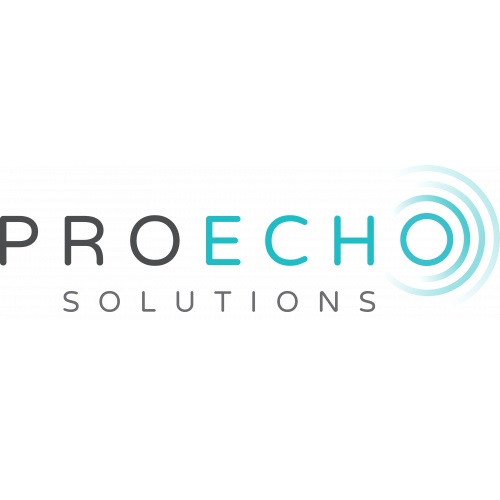 Proecho Solutions's Logo