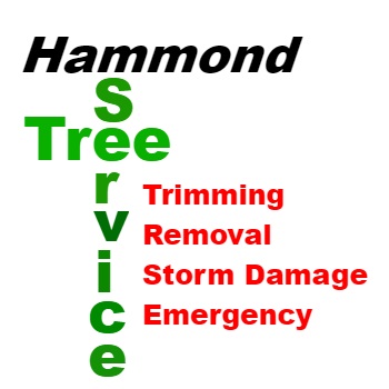 Hammond Tree Service's Logo