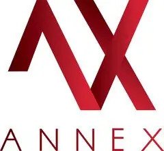 Annex's Logo