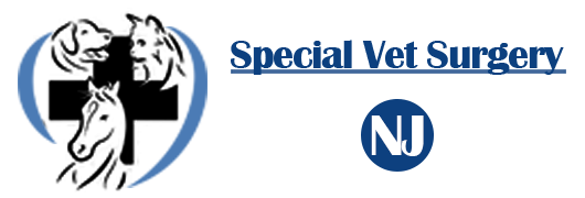 Special vet surgery's Logo