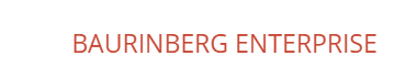 BAURINBERG ENTERPRISE's Logo