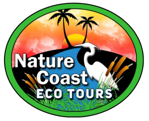 Nature Coast Eco Tours's Logo