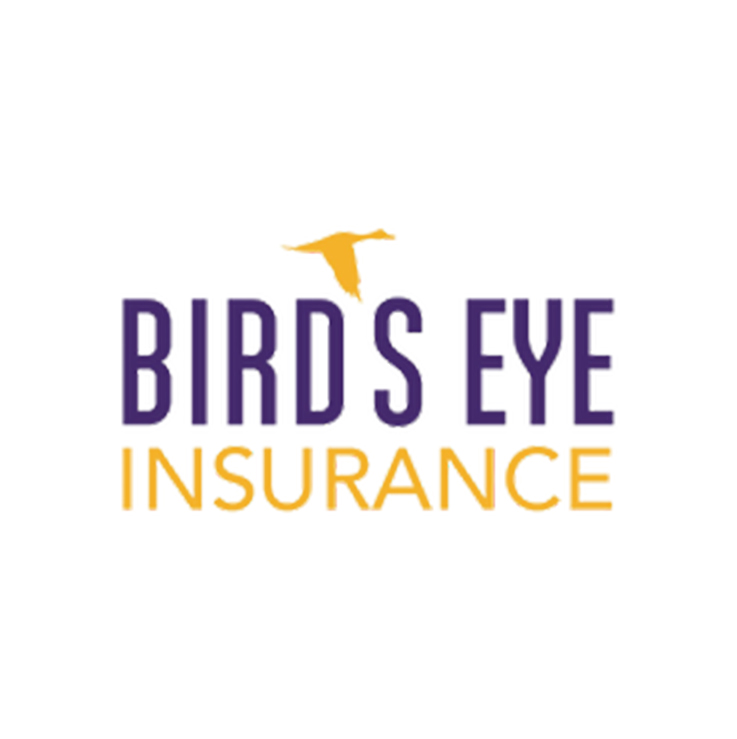 Birdseye Insurance Agency of Austin's Logo
