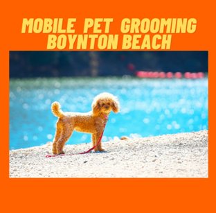 Mobile Pet Grooming Boynton Beach's Logo