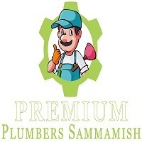 Premium Plumbers Sammamish's Logo