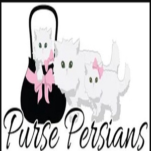 Purse Persians's Logo