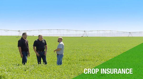 Our local team of agriculture specialists can help insure your success!