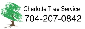 TreeBien Tree Care's Logo
