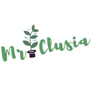 MR CLUSIA's Logo
