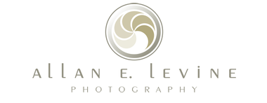 Allan E. Levine Photography's Logo