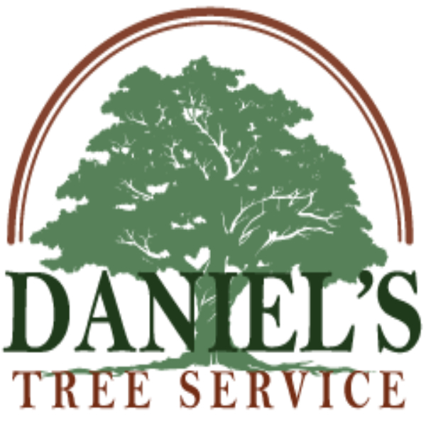 Daniel's Tree Service's Logo