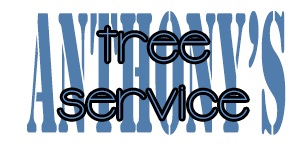 Anthony's Tree Service Wichita's Logo