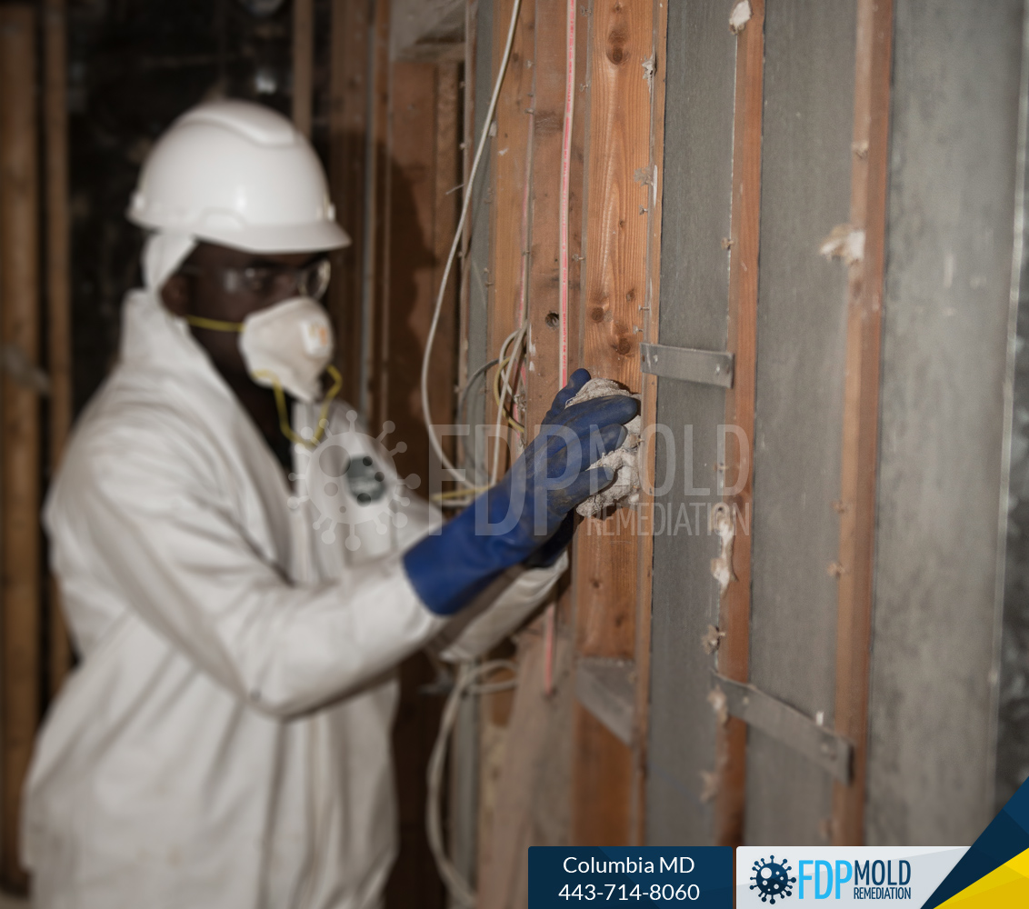 FDP Mold Certified Mold Remediation