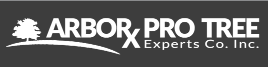 Arbor Pro Tree Experts Co. Inc.'s Logo