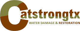 Catstrong Mold Removal Round Rock | Remediation