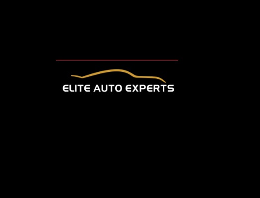 Elite Auto Expert's Logo